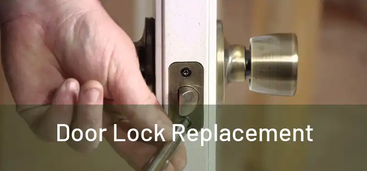 Door Lock Replacement 